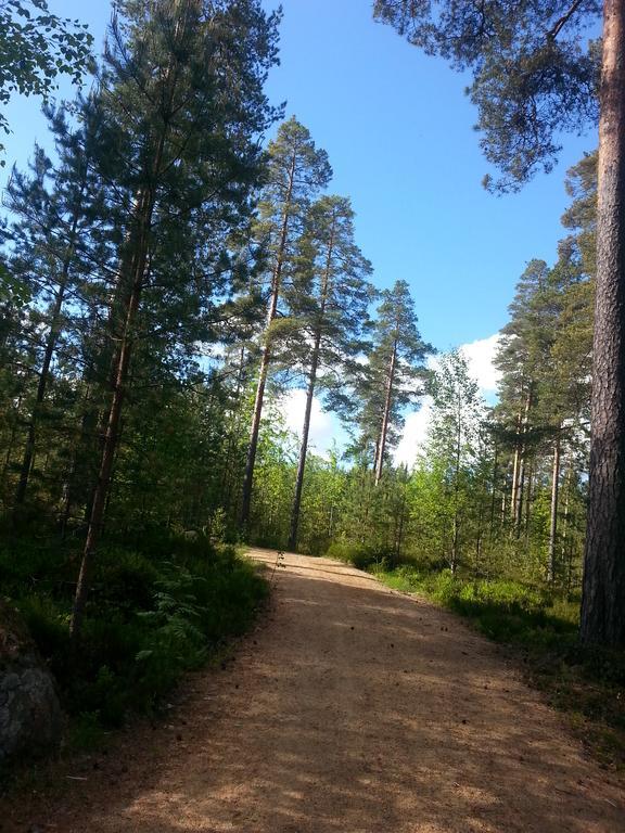 Kunnonlaehde Kankaanpaa